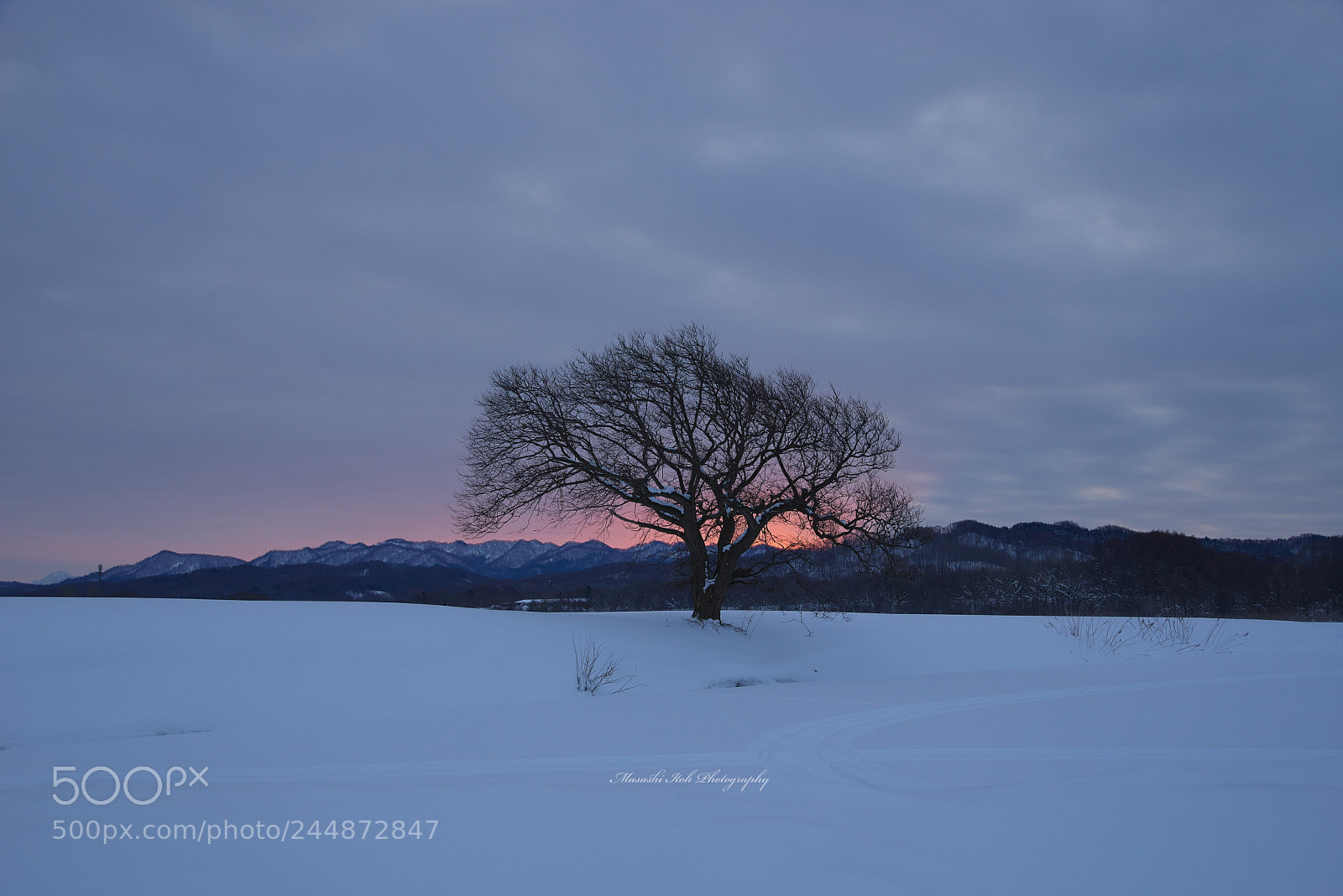 Nikon D610 sample photo. Cloudy dawn photography