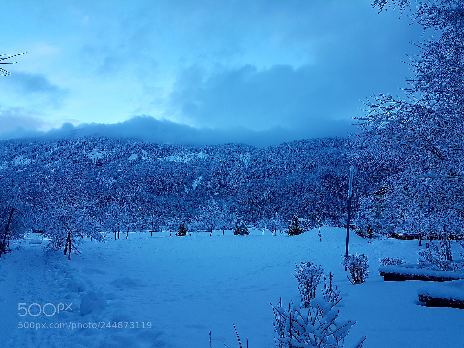 Samsung Galaxy S7 sample photo. Winter morning photography