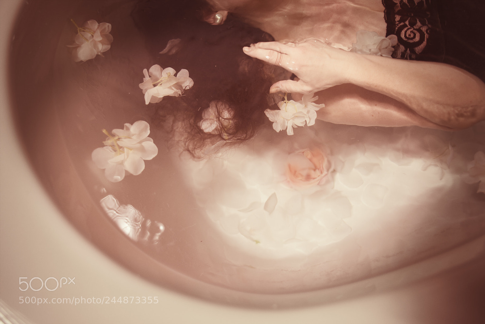 Nikon D800E sample photo. Dreams photography