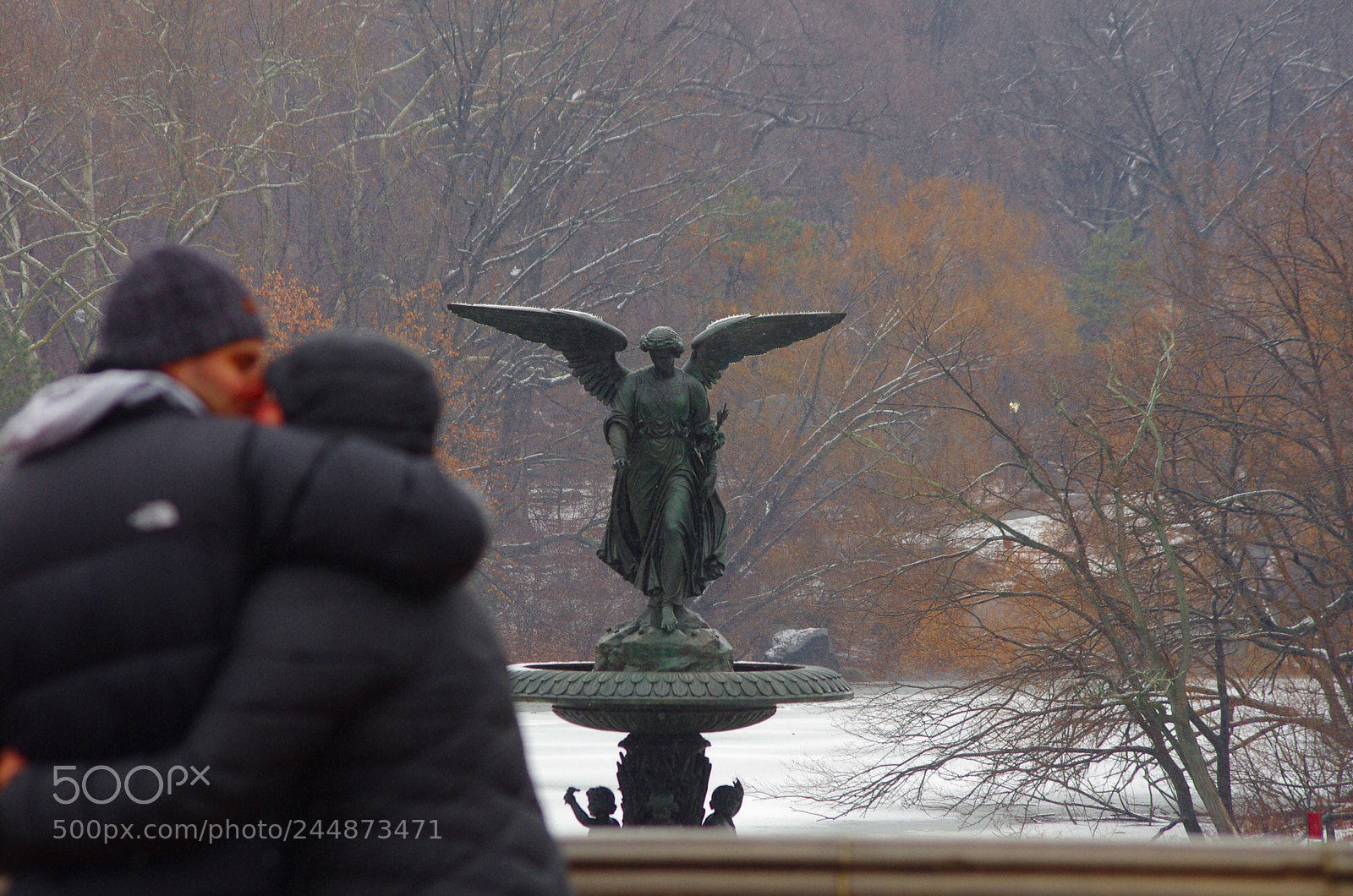 Pentax K-5 sample photo. Untitled photography