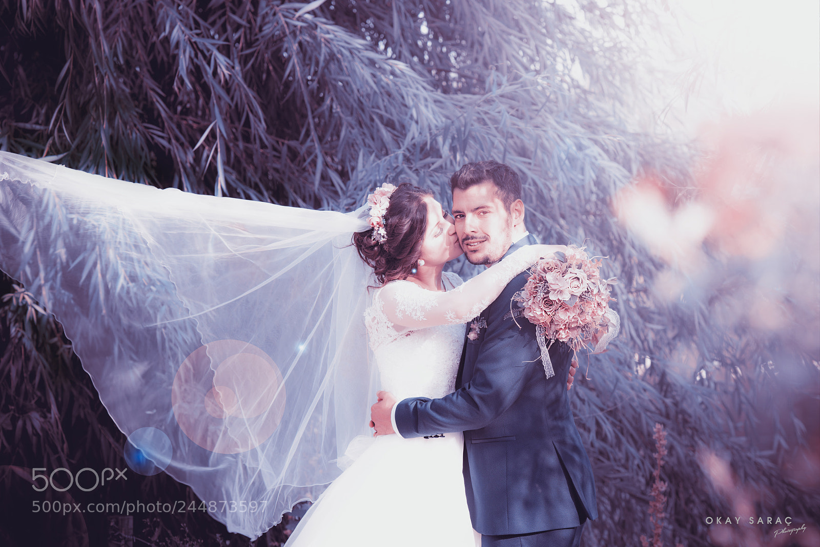 Nikon D800 sample photo. A & s photography