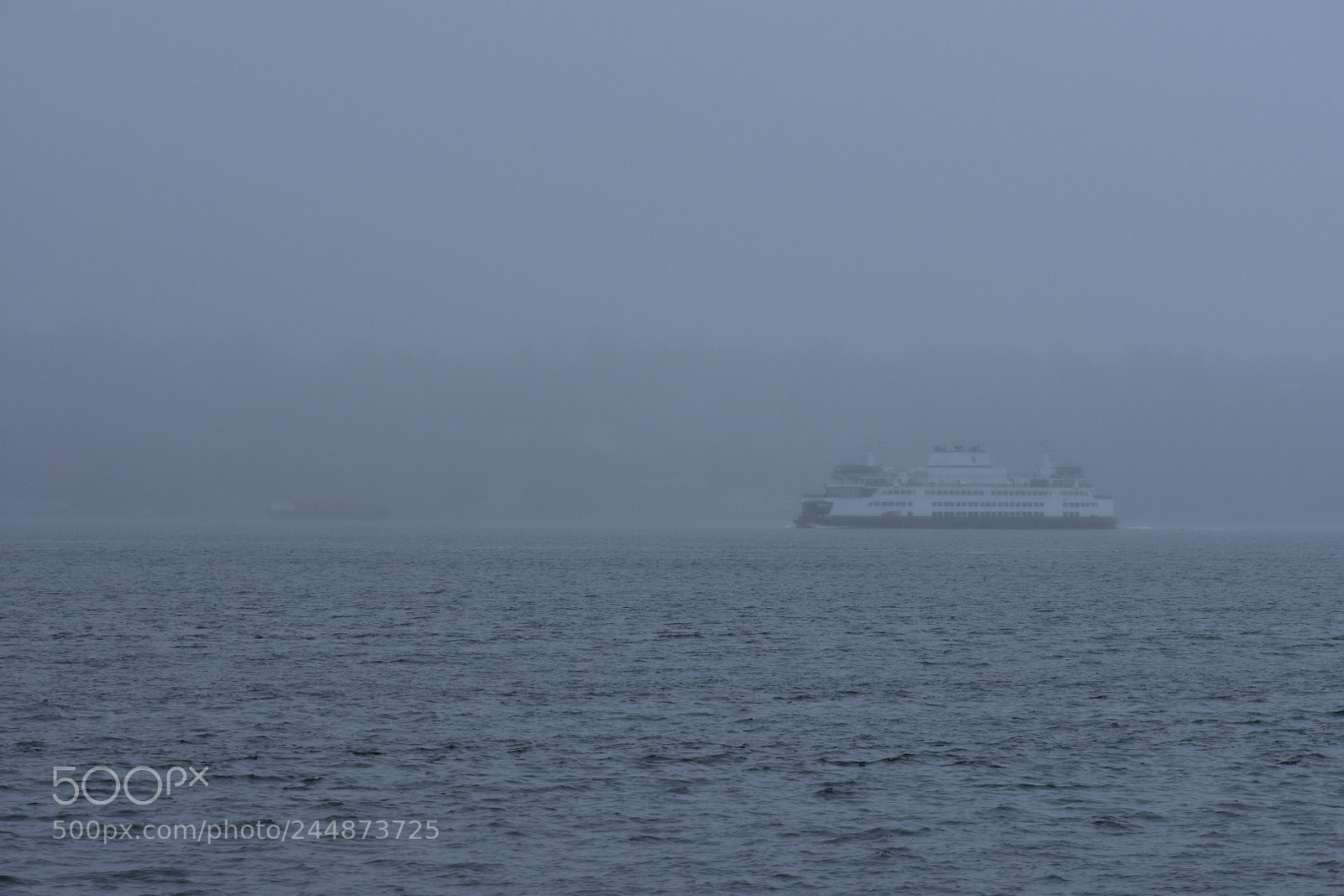 Nikon D3400 sample photo. Foggy morning, seattle photography
