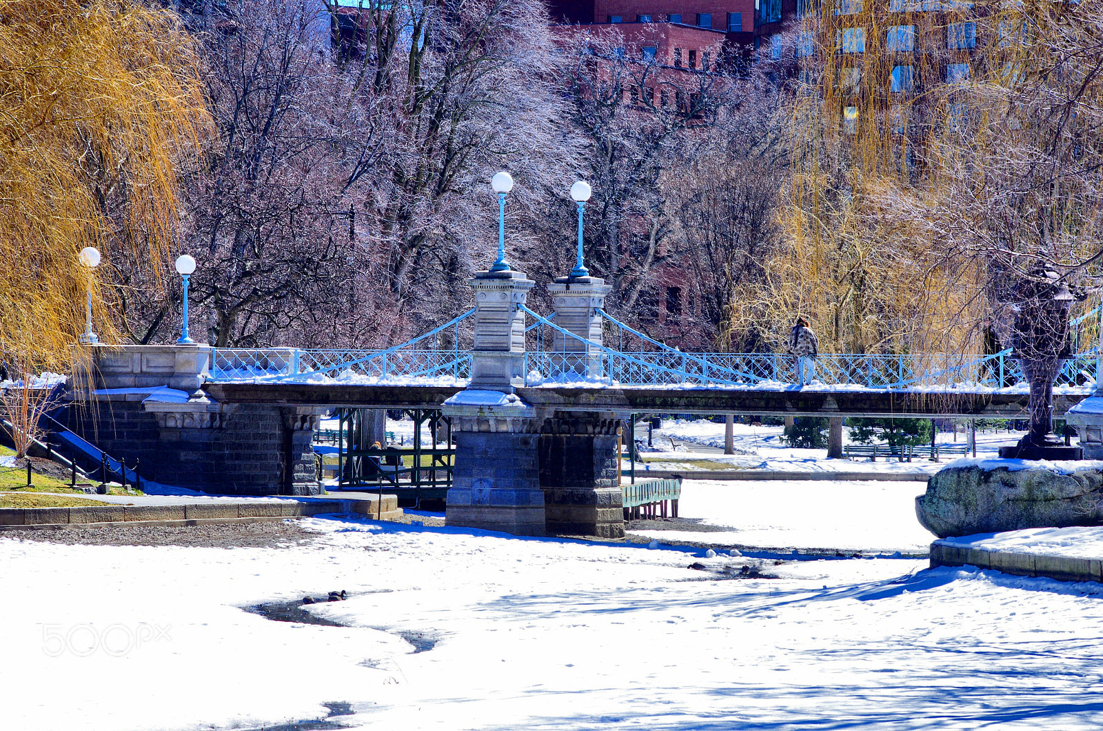 Pentax K-5 sample photo. Untitled photography