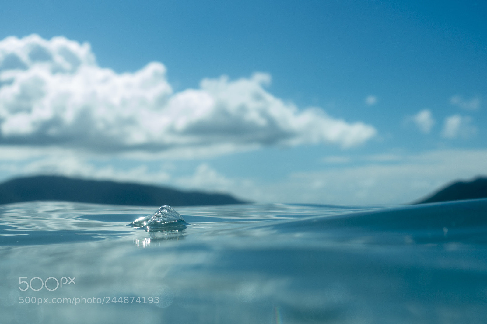 Sony Cyber-shot DSC-RX100 IV sample photo. Portuguese man o' war photography