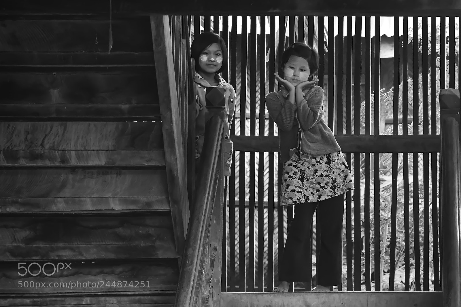 Nikon D500 sample photo. Untitled photography