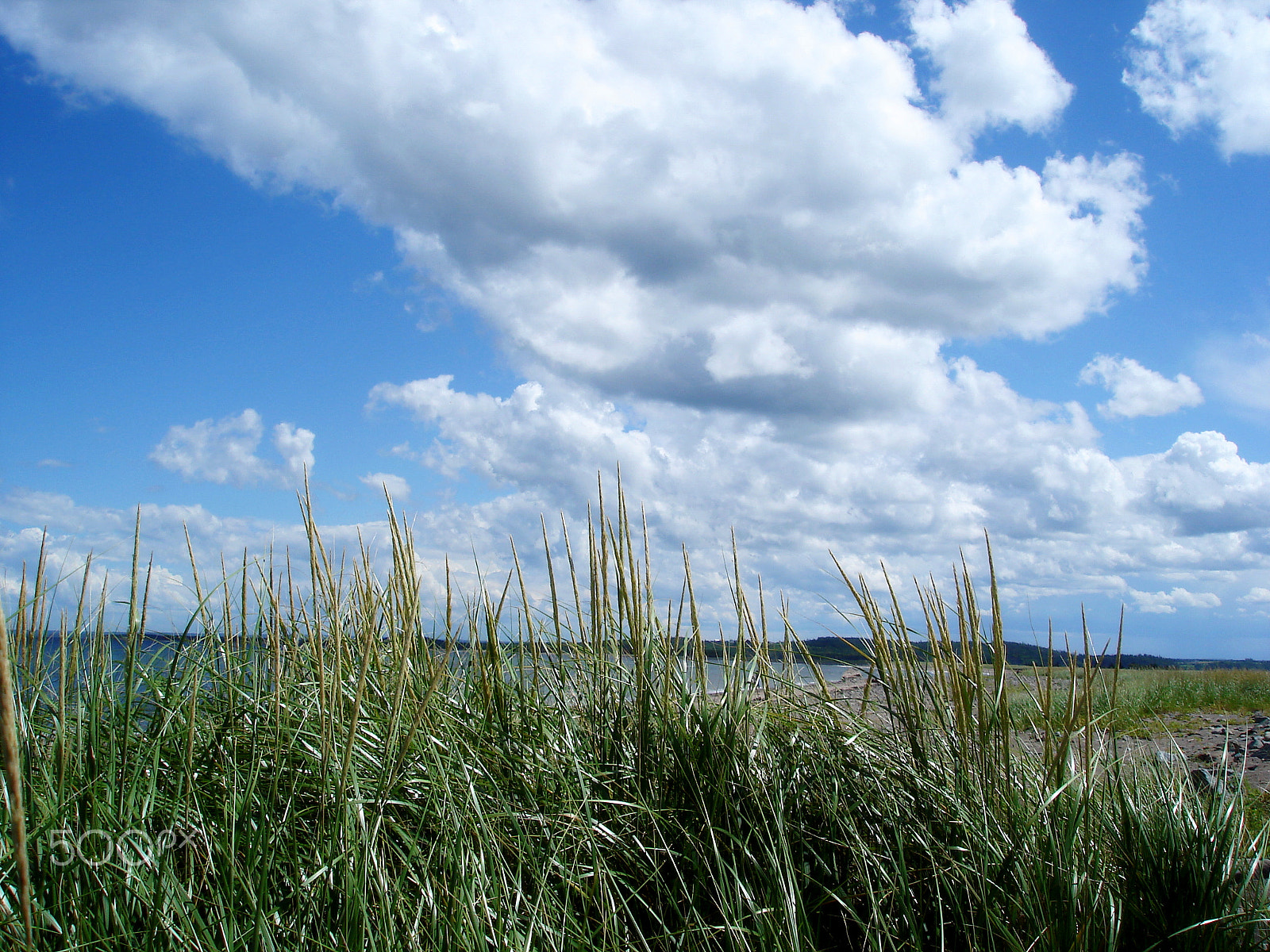 Sony DSC-W5 sample photo. Heavy clouds in the sky photography