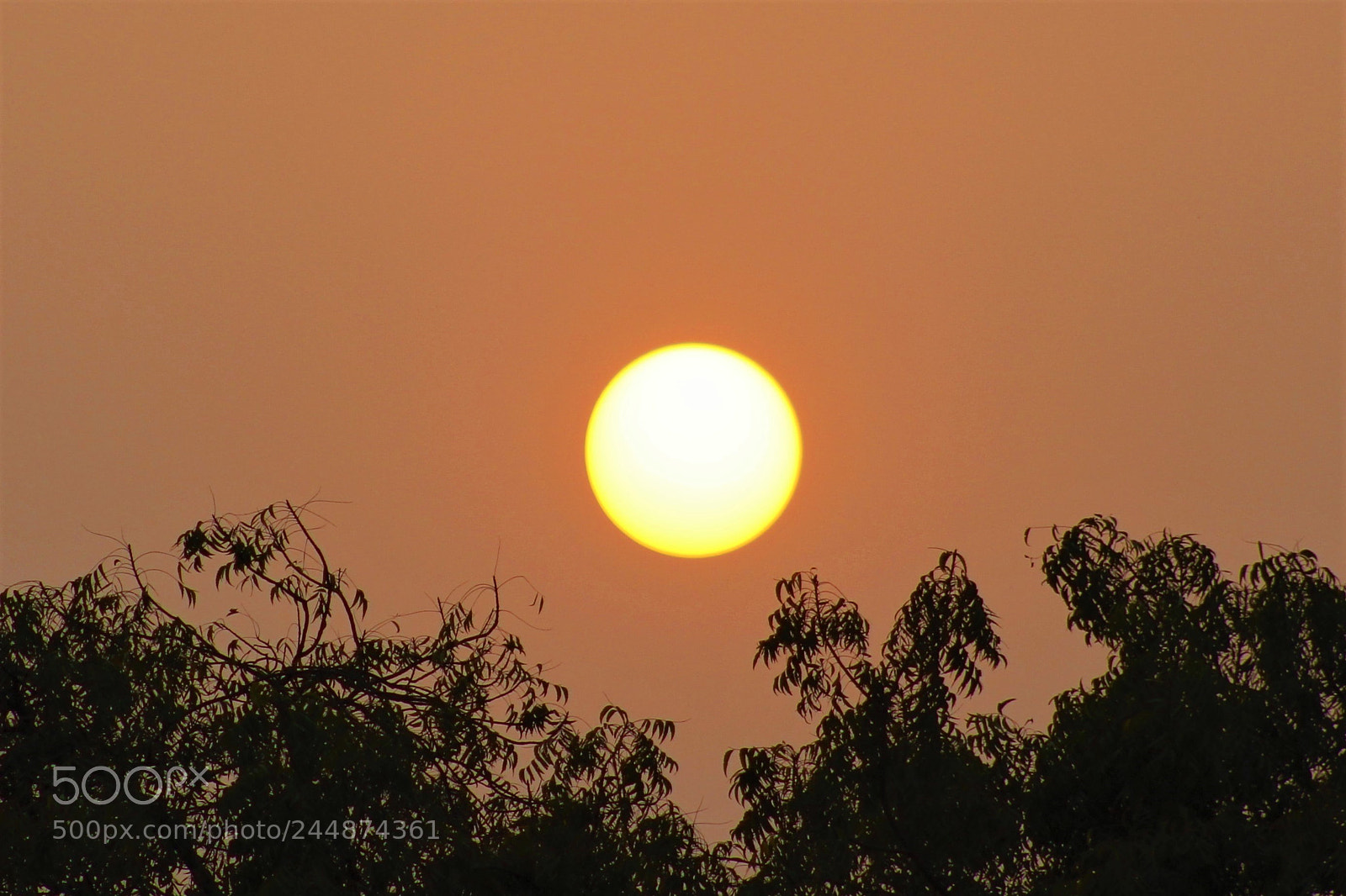 Canon EOS 1200D (EOS Rebel T5 / EOS Kiss X70 / EOS Hi) sample photo. Sunset photography