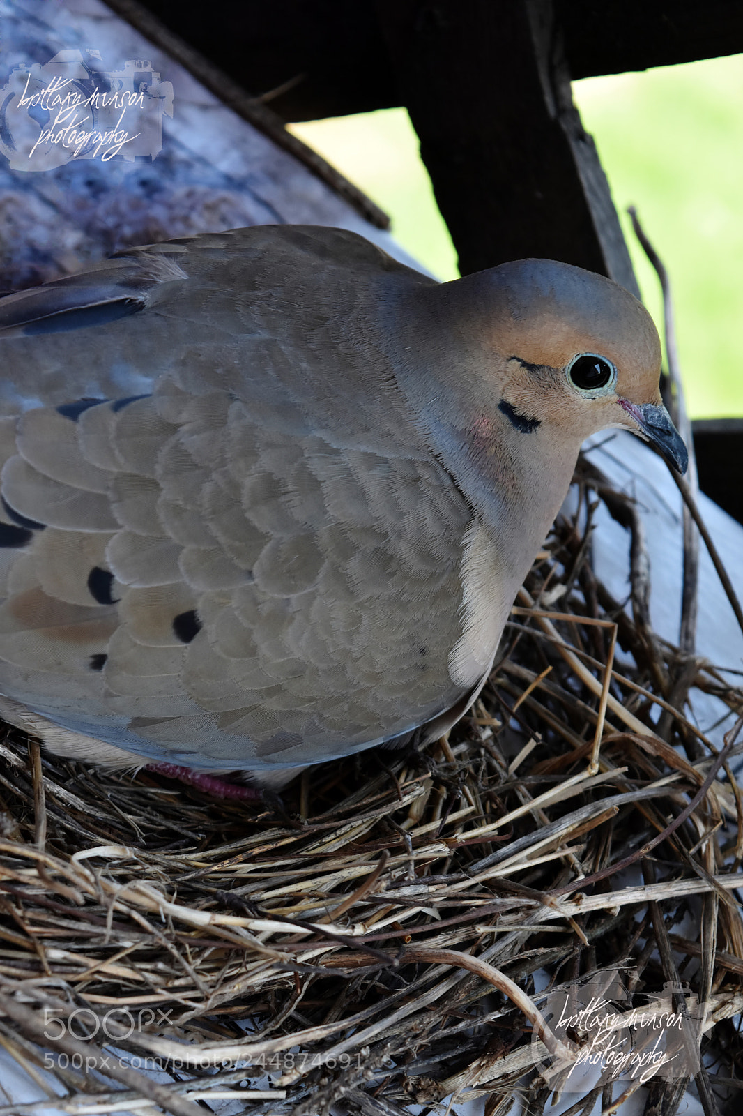 Nikon D7200 sample photo. 9.jpg photography