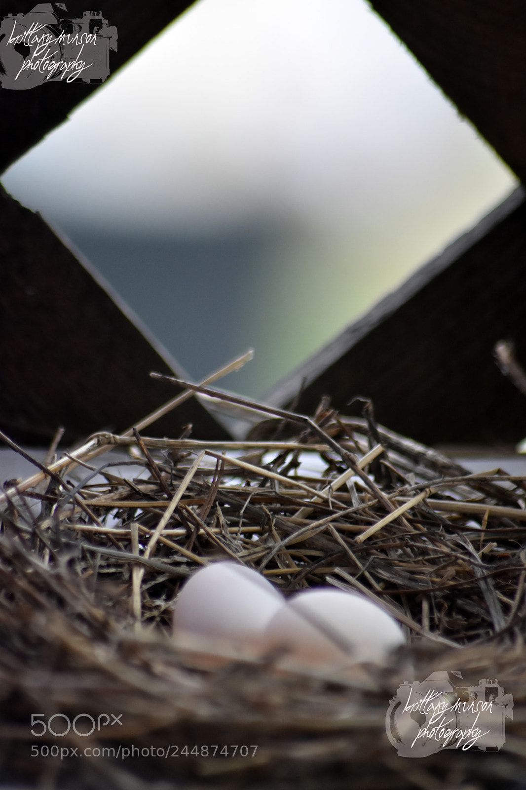 Nikon D7200 sample photo. 13.jpg photography