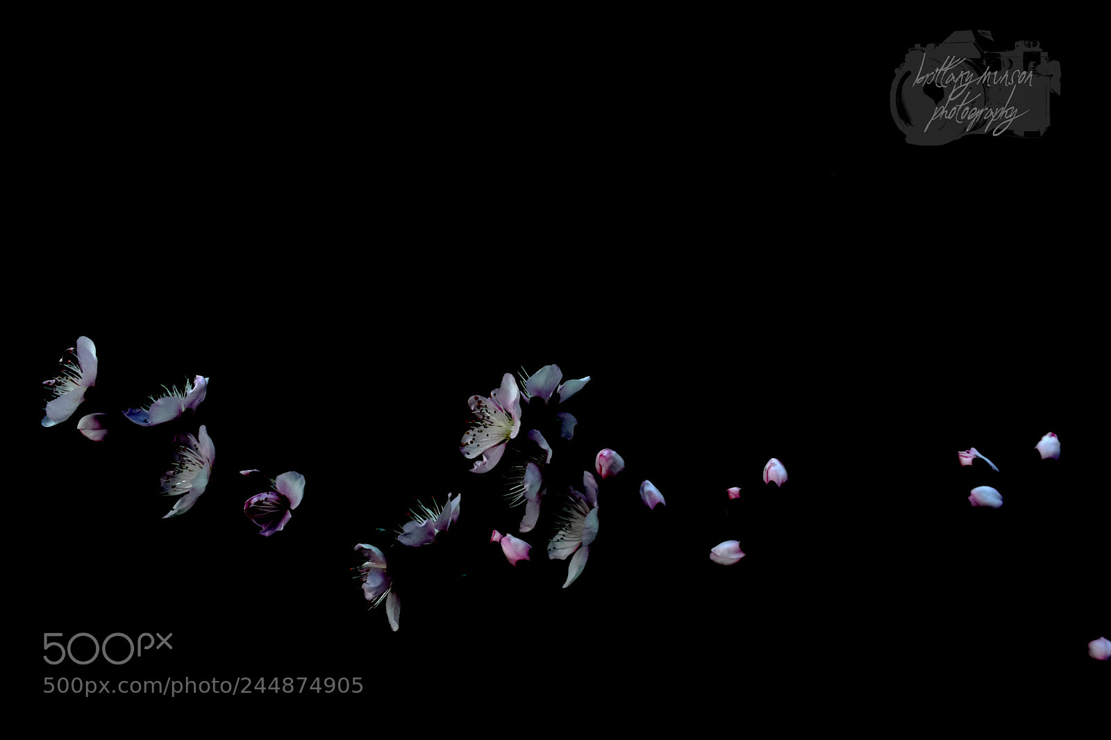 Nikon D7200 sample photo. 3.jpg photography