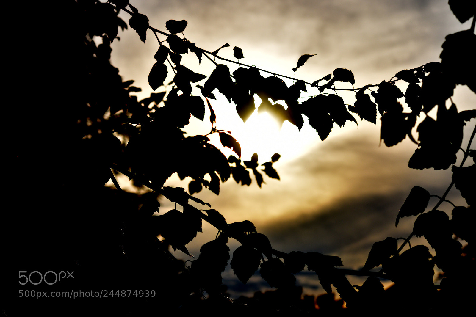 Nikon D7200 sample photo. 4.jpg photography