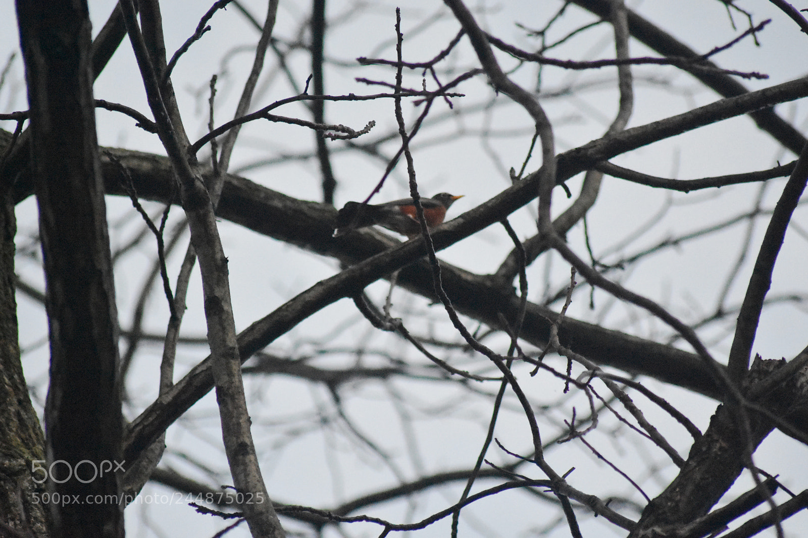 Nikon D7200 sample photo. 2.jpg photography