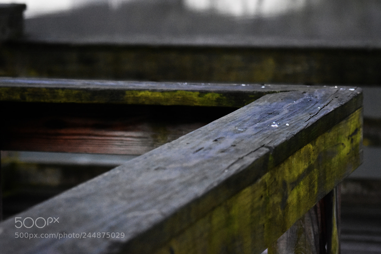 Nikon D7200 sample photo. 4.jpg photography