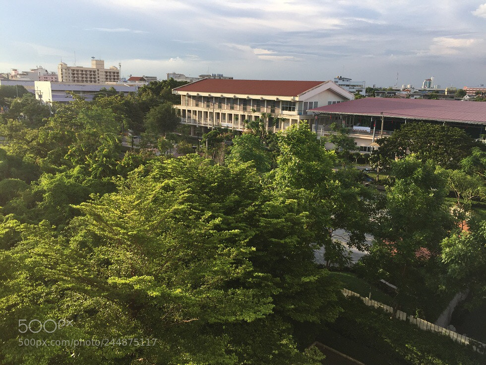 Apple iPhone 6 sample photo. Img photography
