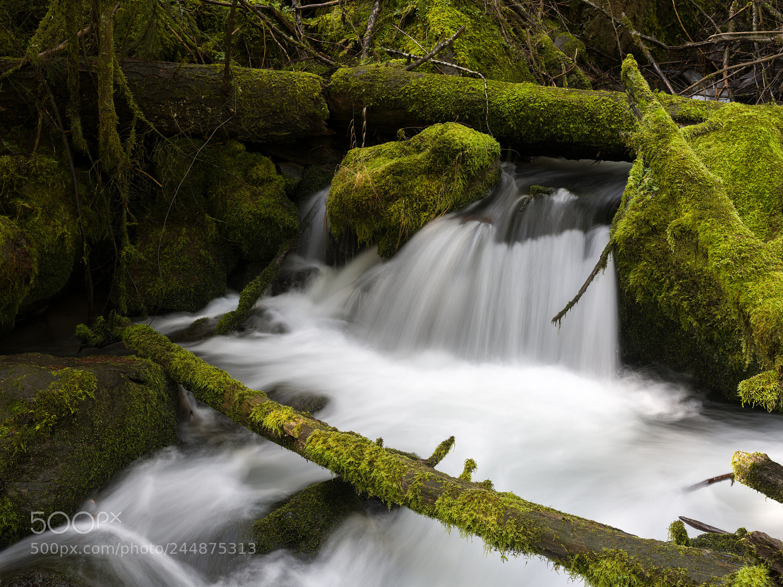 Pentax 645Z sample photo. Mill creek — prospect, or photography