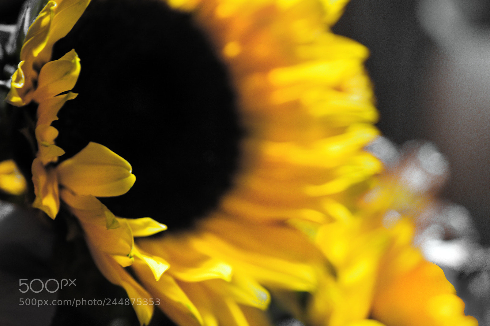 Nikon D7200 sample photo. 589658485.jpg photography