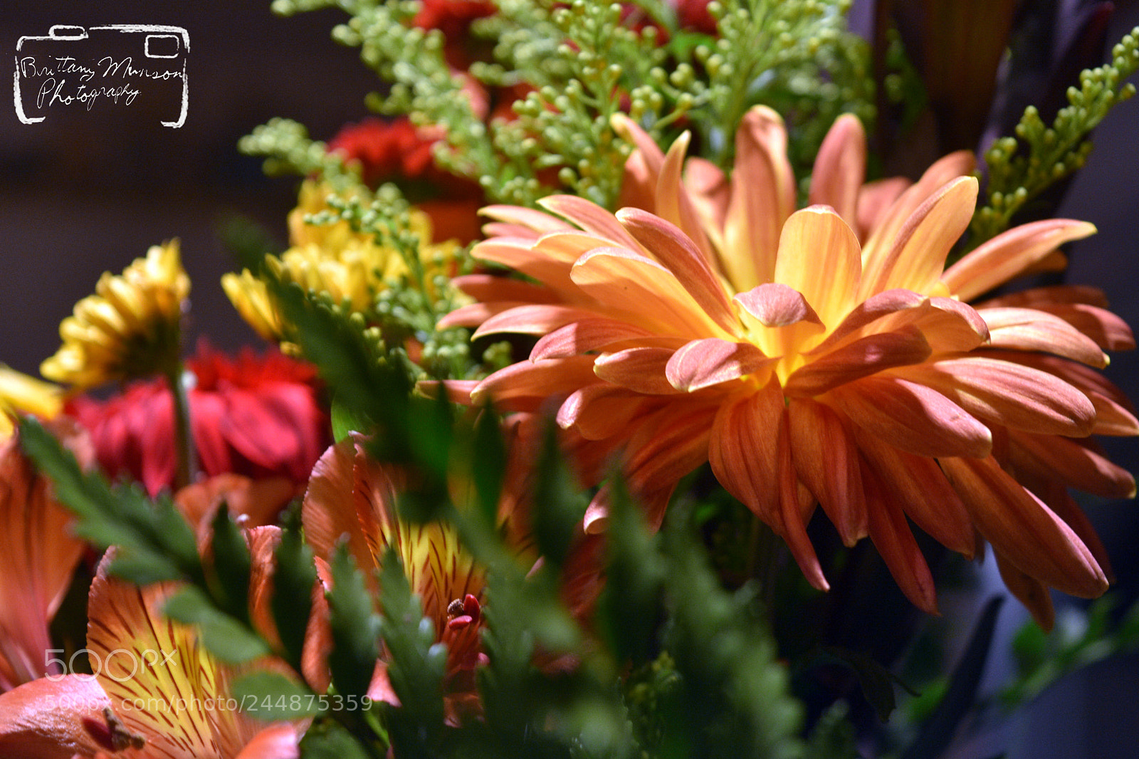 Nikon D7200 sample photo. 5555555555555.jpg photography