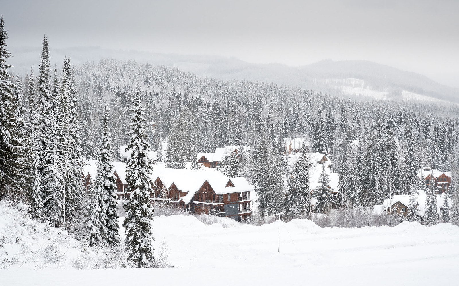 Nikon D500 sample photo. Kicking horse village photography