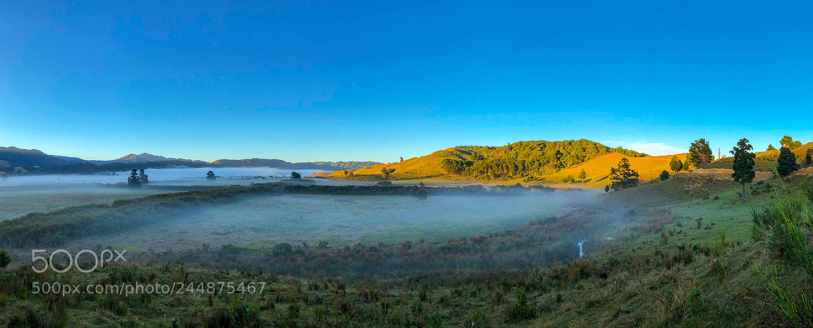 Apple iPhone 8 Plus sample photo. Whiteman's valley morning photography
