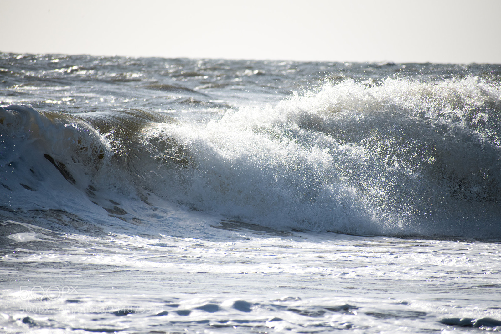 Nikon D5600 sample photo. Break photography