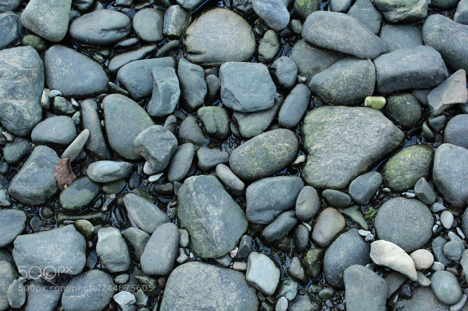 Canon EOS 1200D (EOS Rebel T5 / EOS Kiss X70 / EOS Hi) sample photo. Rocks accross the river photography