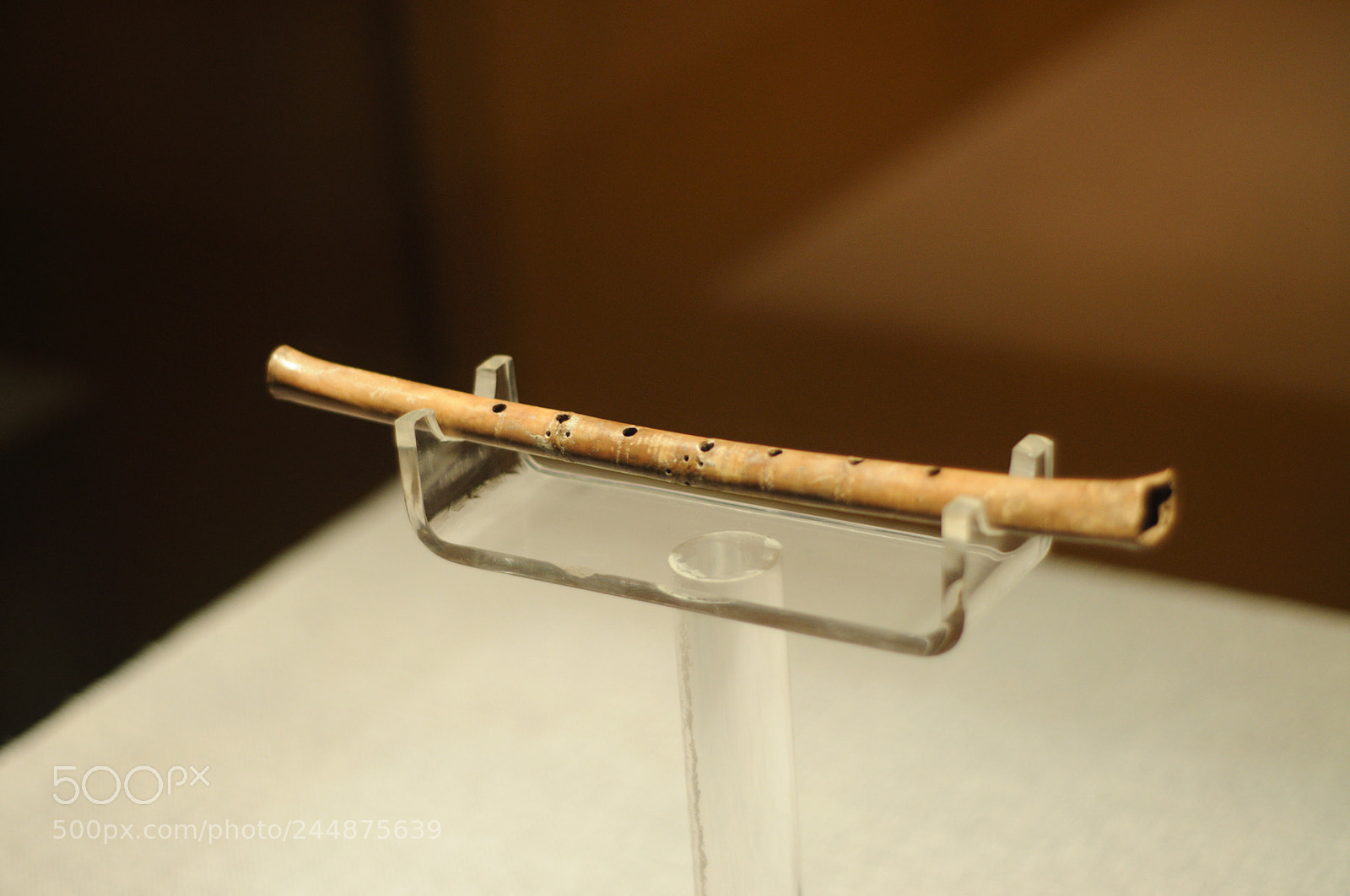 Nikon D90 sample photo. Untitled photography