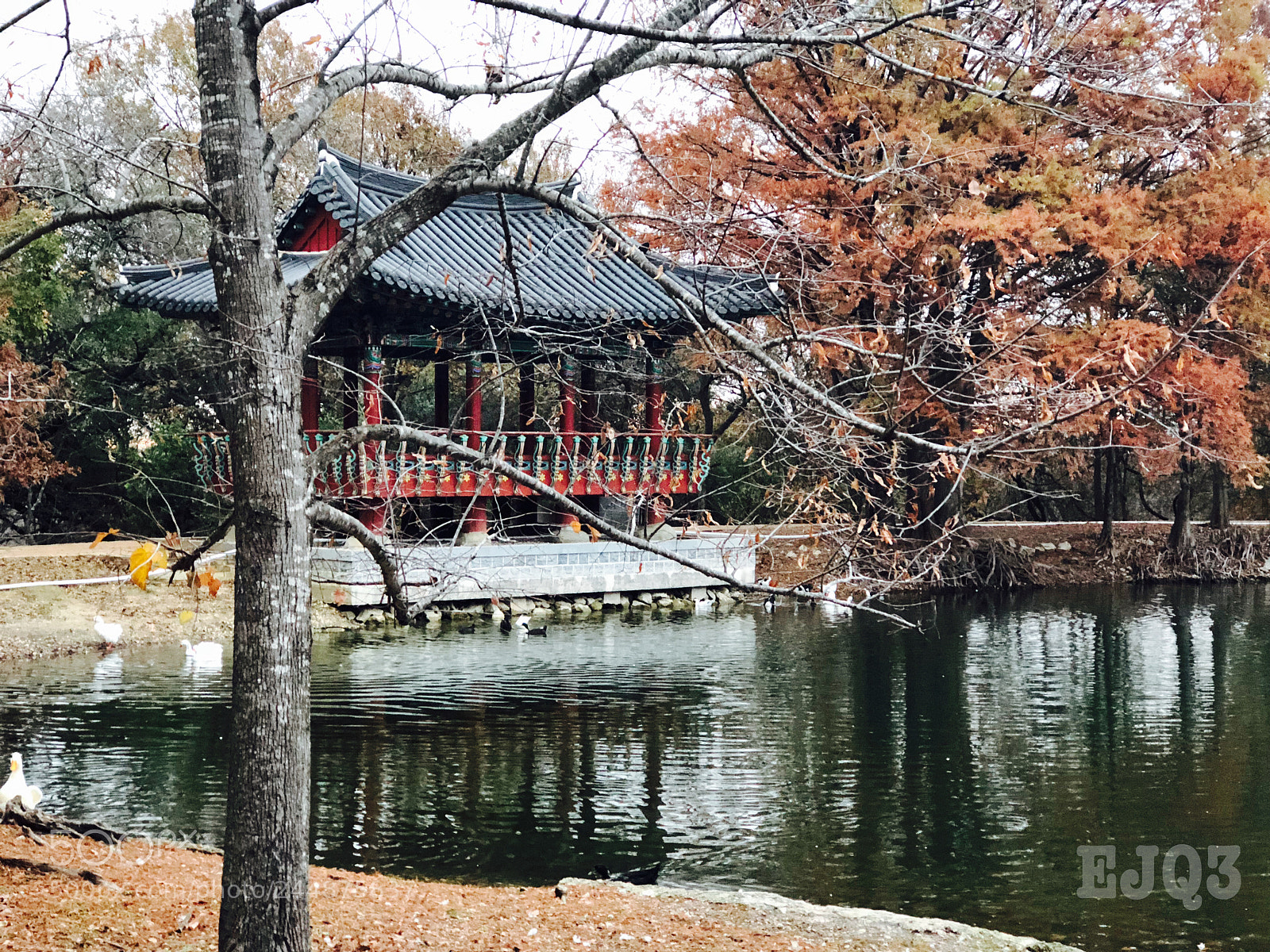 Apple iPhone 8 Plus sample photo. Pagoda in texas photography