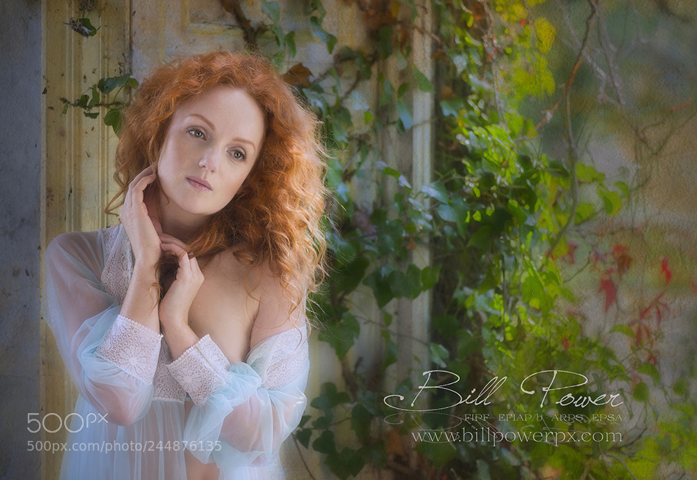 Nikon D800 sample photo. Dreamy delight photography