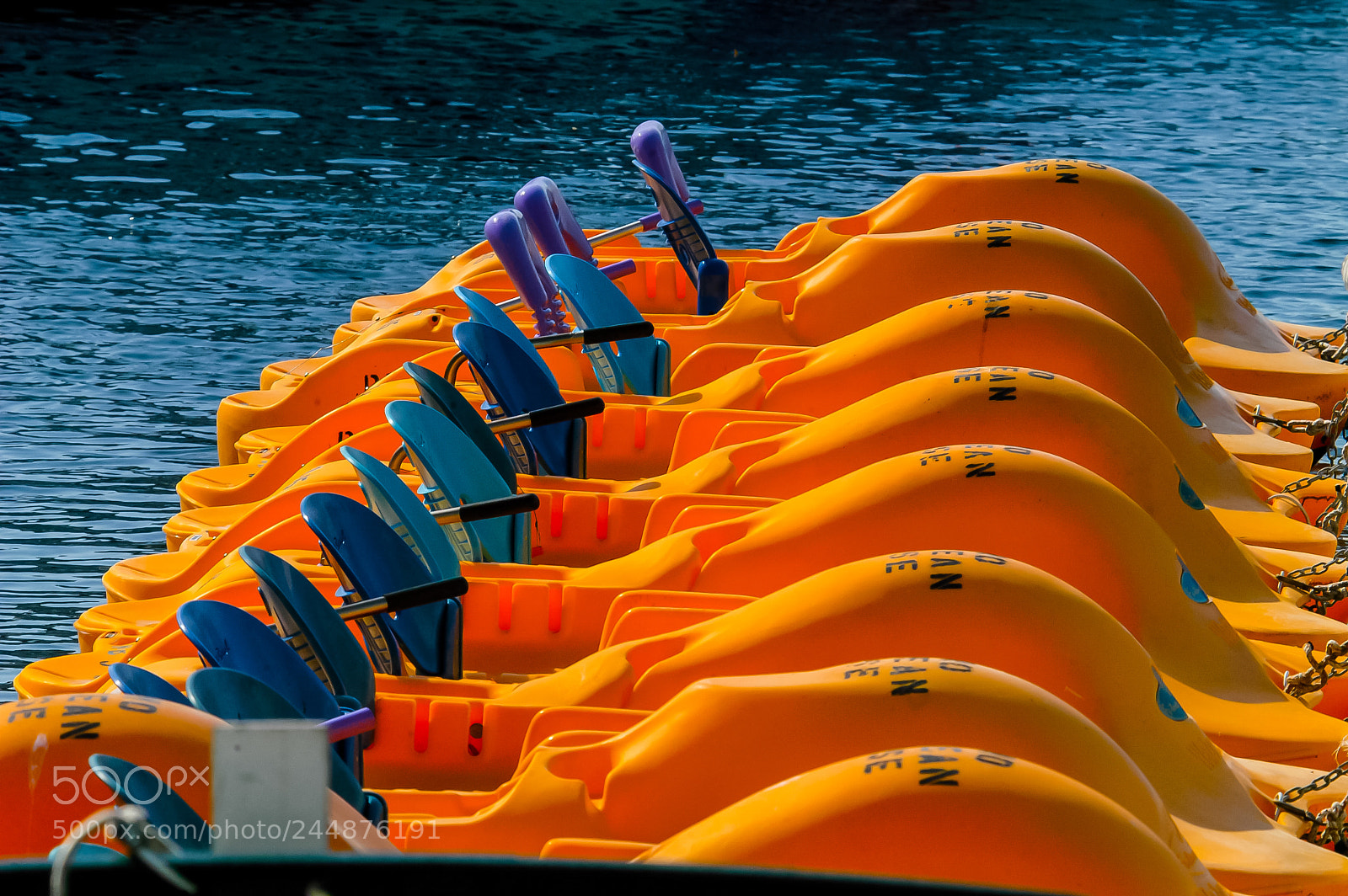 Nikon D100 sample photo. Paddle boats photography