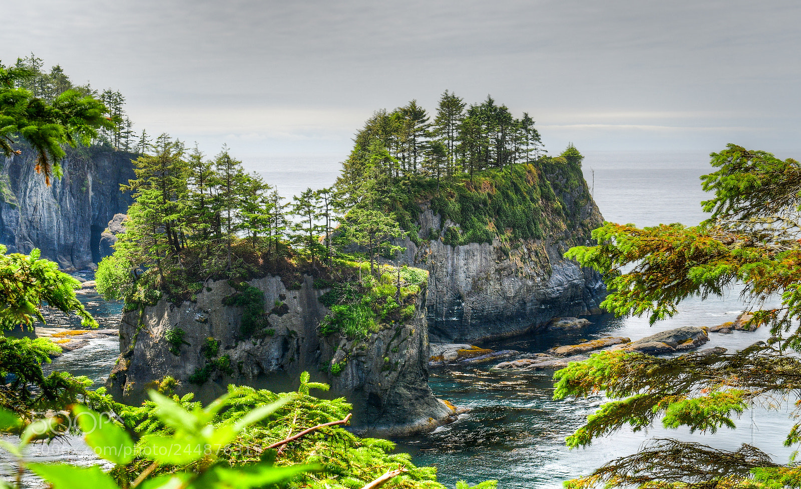 Nikon D500 sample photo. Cape flattery photography