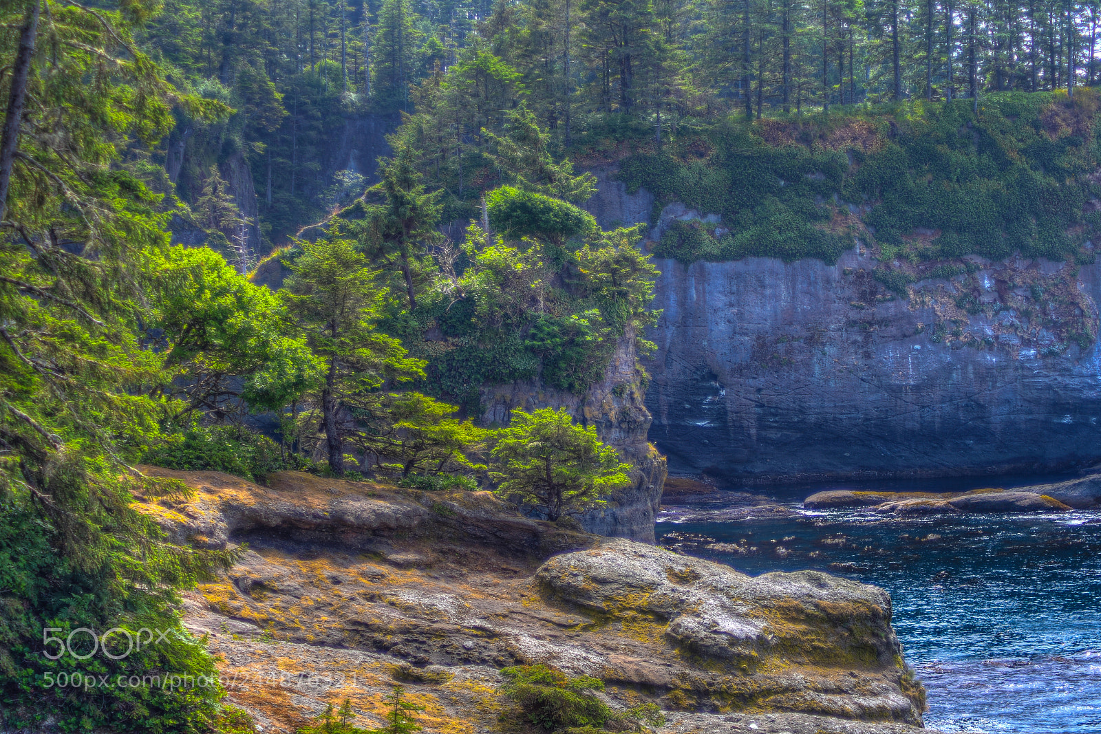 Nikon D500 sample photo. Cape flattery photography