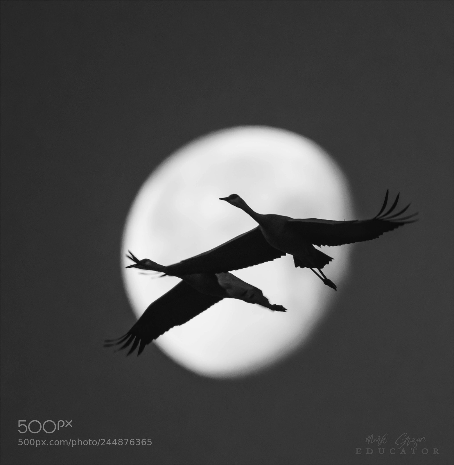 Nikon D850 sample photo. Parings in the moon photography
