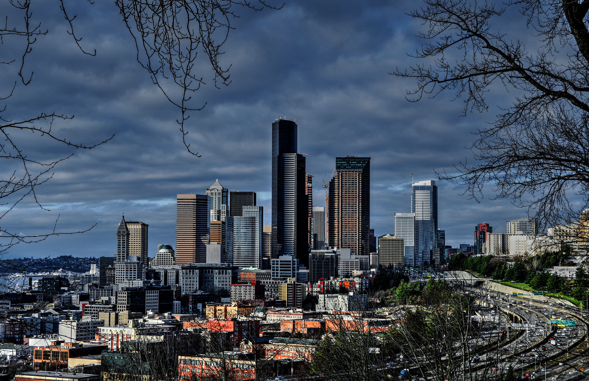Nikon D500 sample photo. Seattle on cloudy day from dr. jose rizal park photography