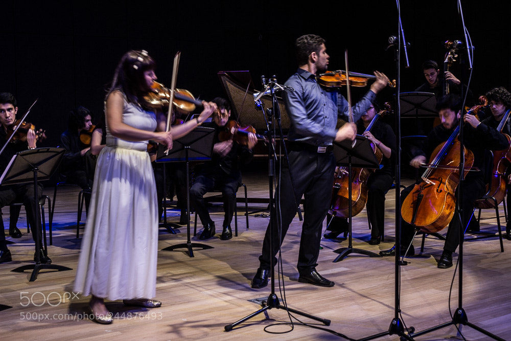 Canon EOS 600D (Rebel EOS T3i / EOS Kiss X5) sample photo. Violinists photography