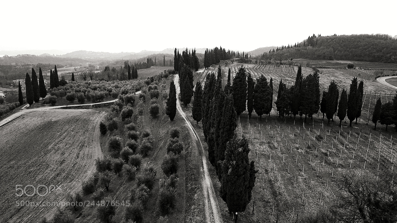 DJI FC220 sample photo. Untitled photography