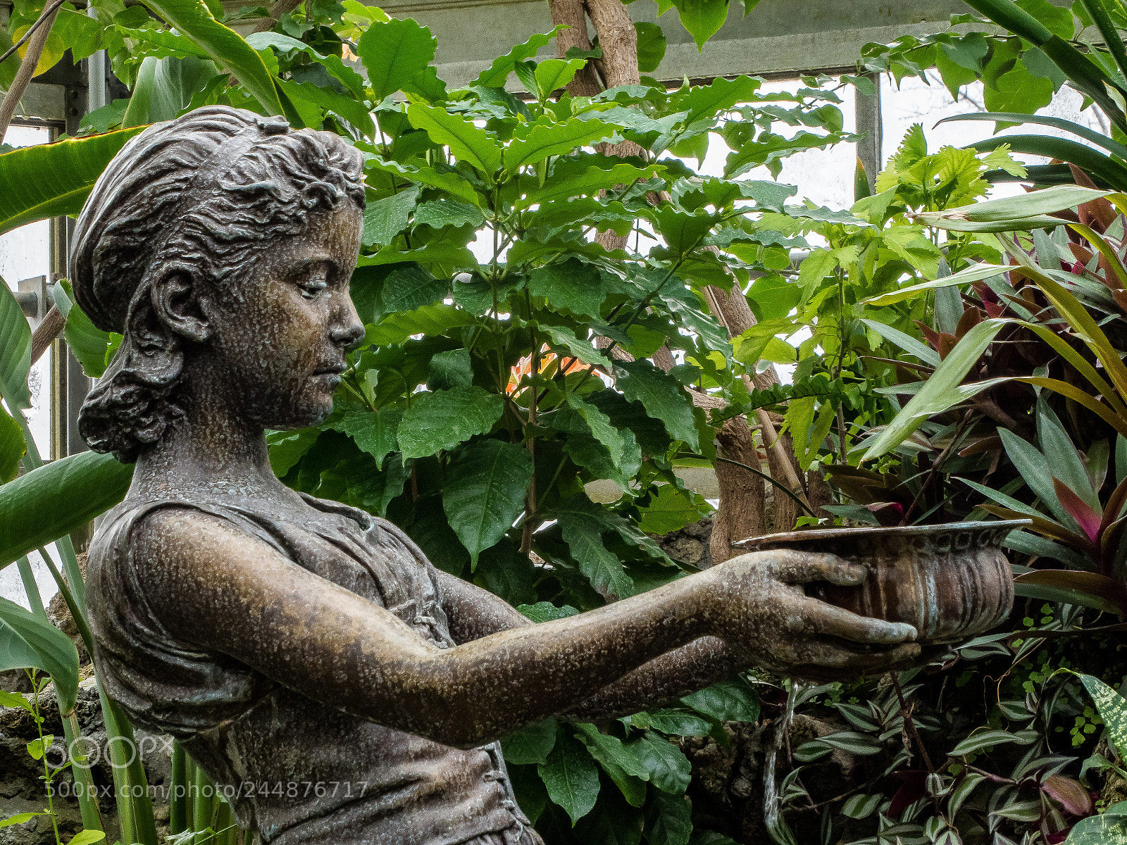 Olympus OM-D E-M5 II sample photo. Art in the garden photography