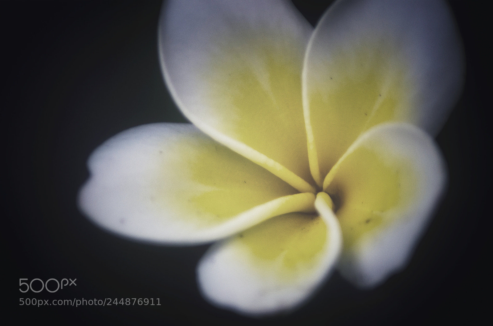 Nikon D5100 sample photo. Untitled photography