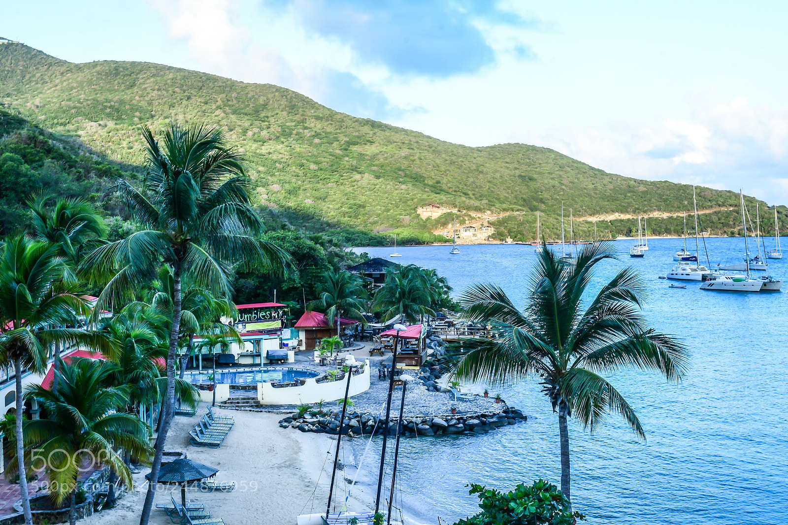 Nikon D500 sample photo. British virgin island harbor photography