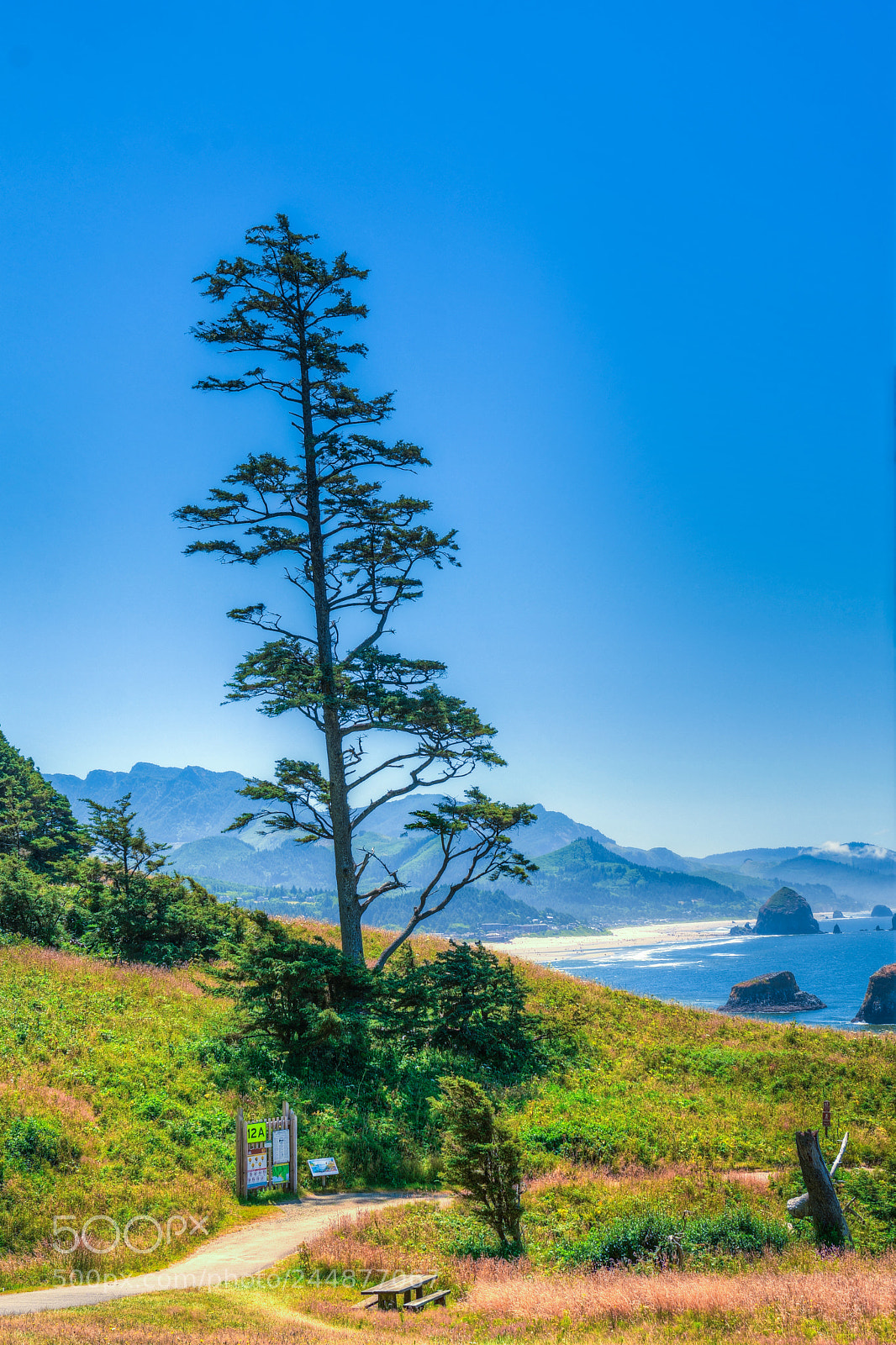 Nikon D500 sample photo. Ecola state park photography