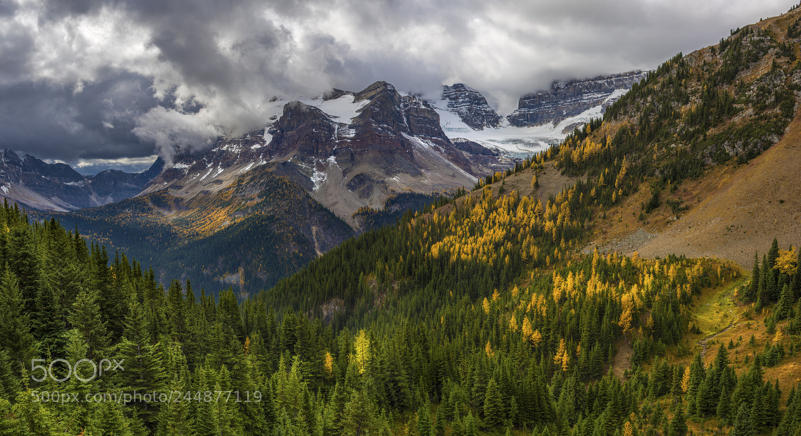Nikon D810 sample photo. Wonder pass photography