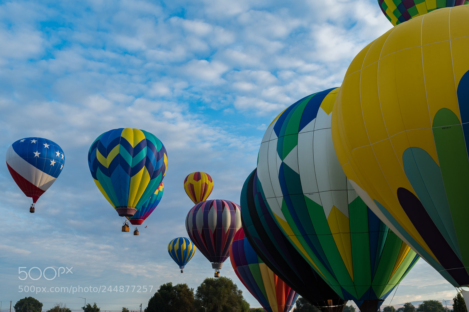 Nikon D500 sample photo. Balloon balloon festival 2017 photography