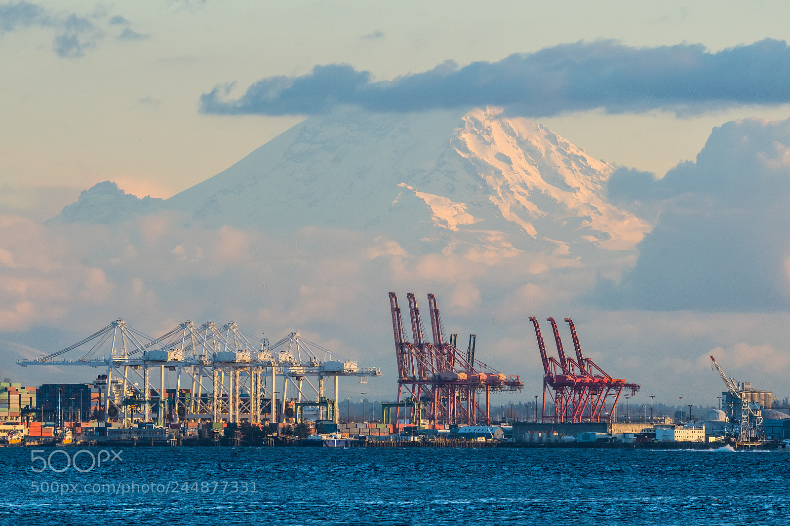 Nikon D500 sample photo. Seattle container terminal with photography