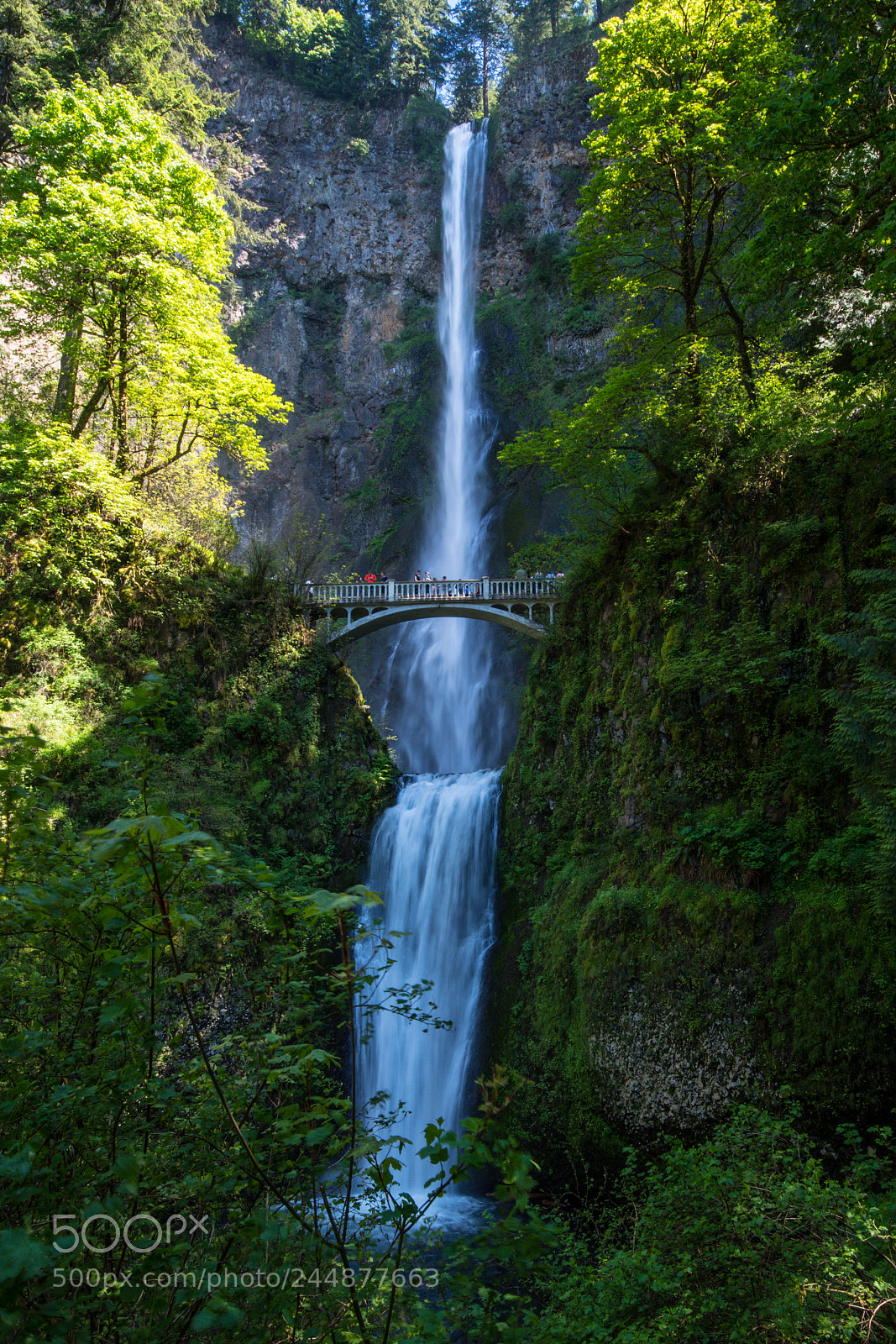 Nikon D500 sample photo. Multnomah falls photography