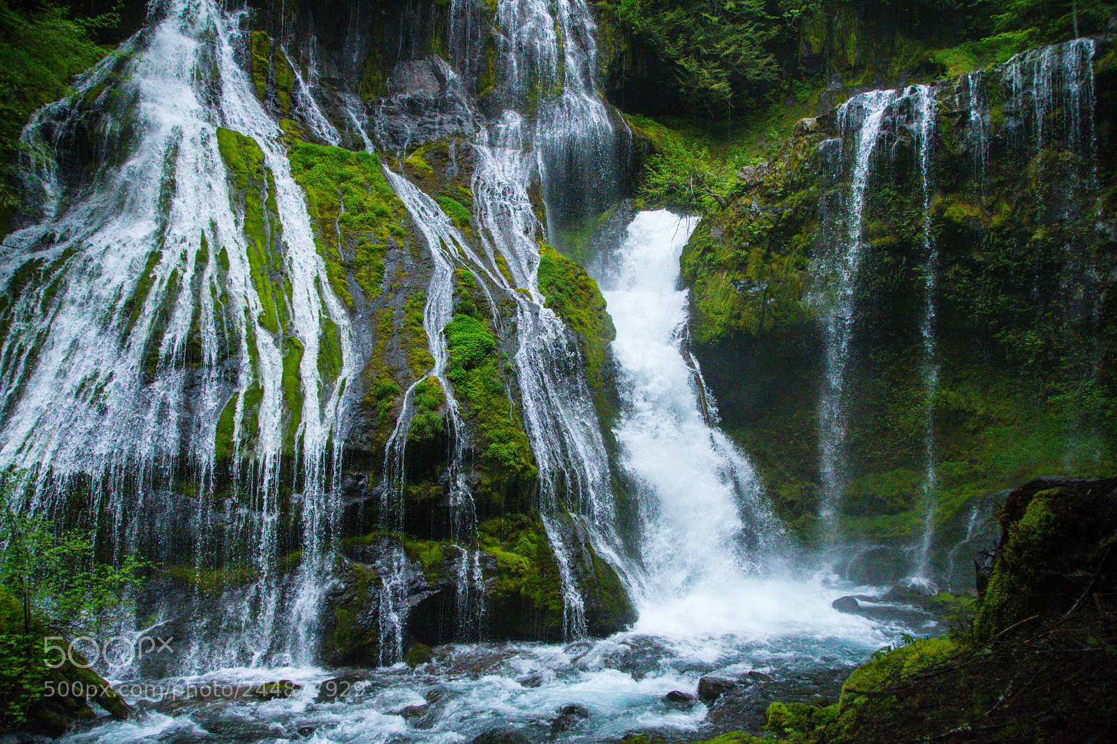 Nikon D500 sample photo. Panther creek falls photography