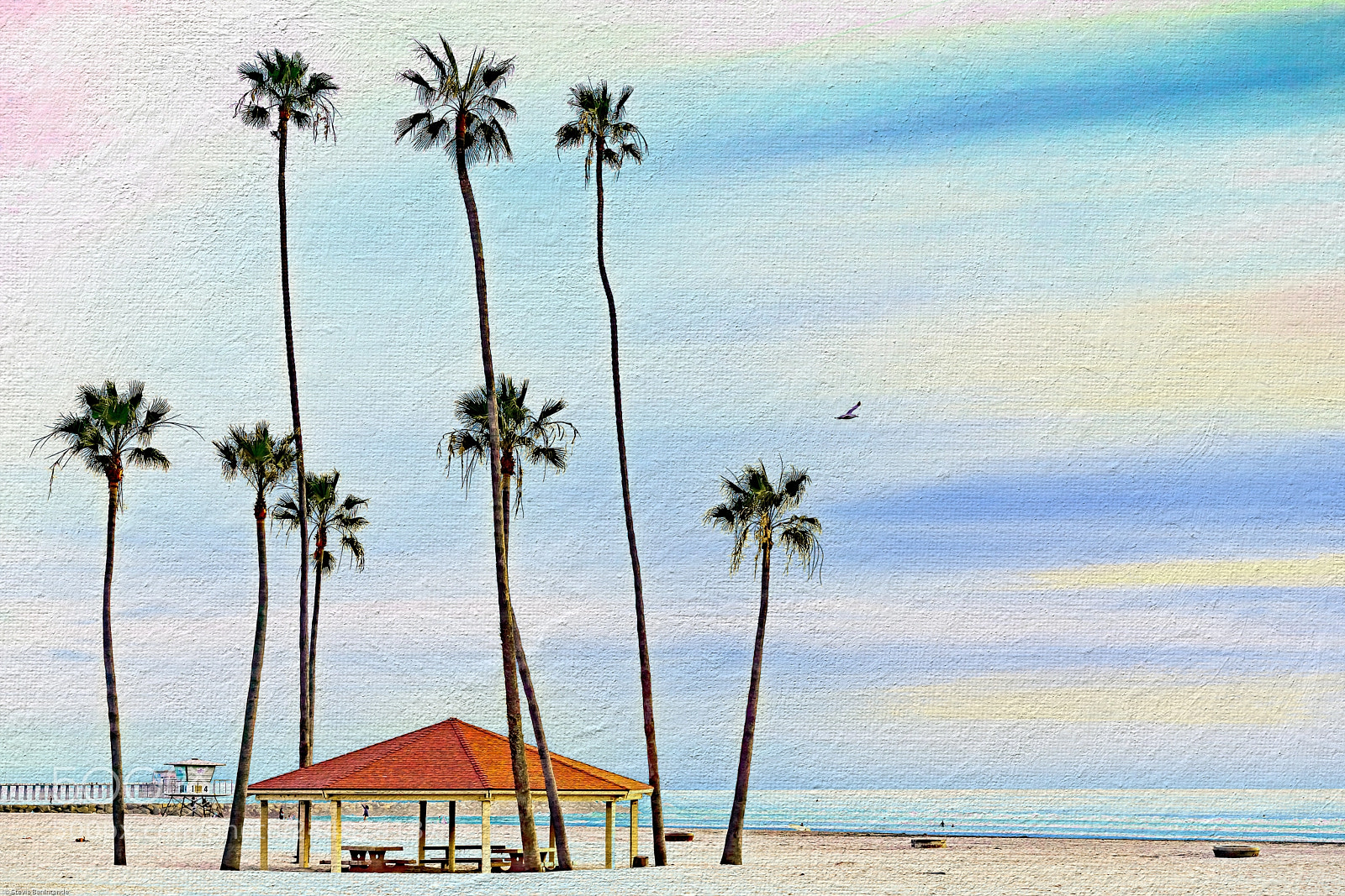 Sony a7R III sample photo. Beach palms photography