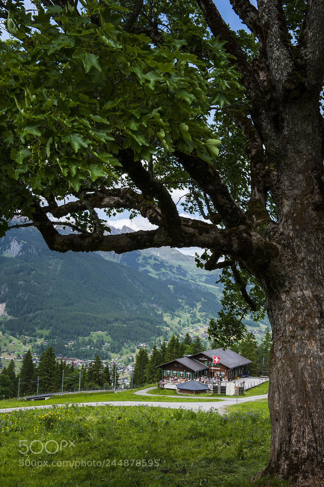 Nikon D700 sample photo. Near jungfrau photography