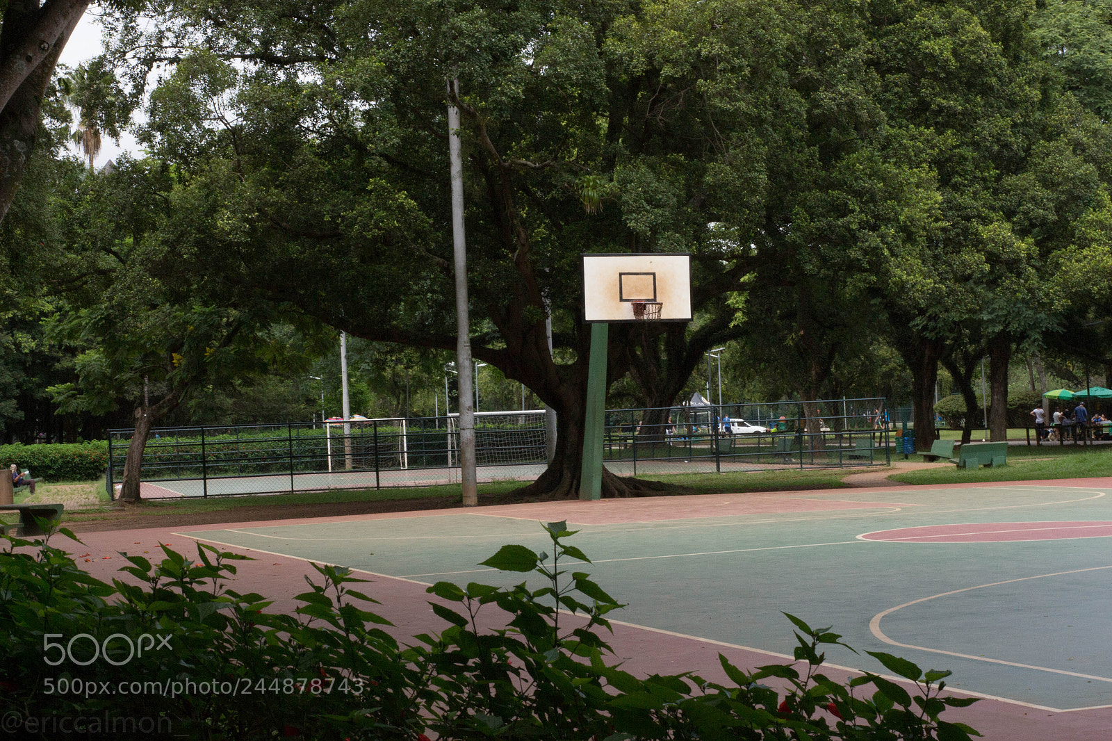 Canon EOS 700D (EOS Rebel T5i / EOS Kiss X7i) sample photo. Quadra 2018 photography
