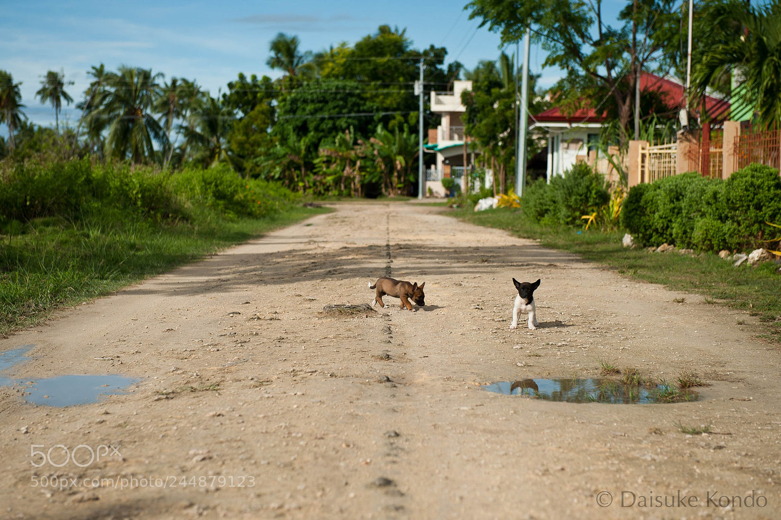 Nikon D700 sample photo. Not everything is black photography