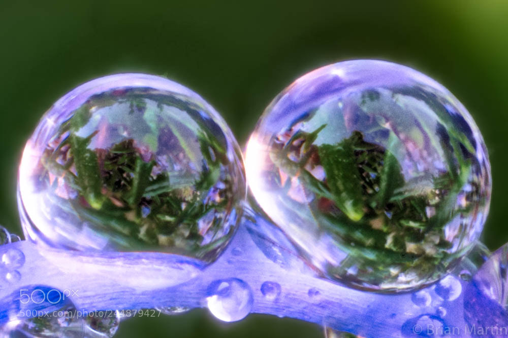 Sony a7R III sample photo. Zs pmax edit photography