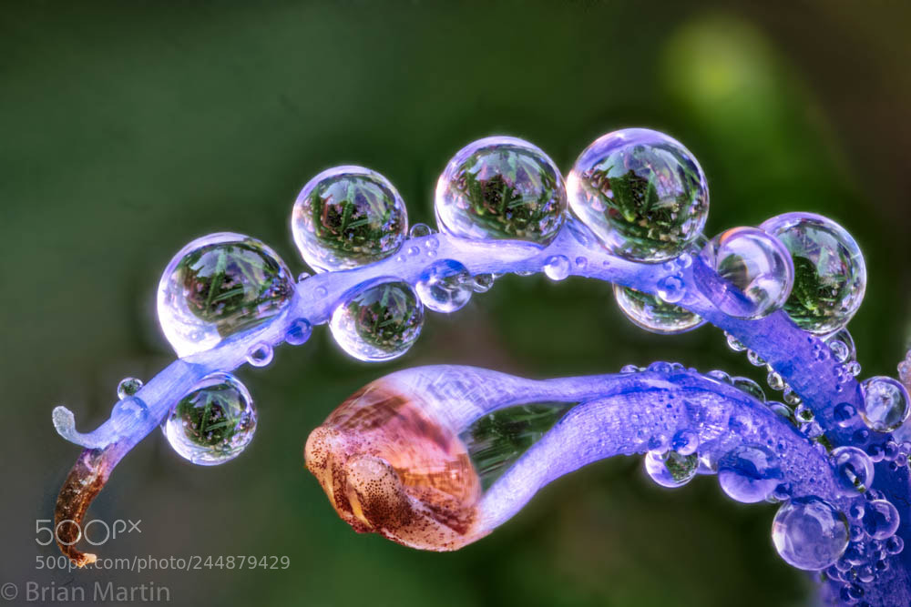 Sony a7R III sample photo. Zs pmax edit photography